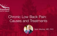 Stanford Hospital’s Dr. Sean Mackey on Chronic Low Back Pain