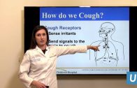 Chronic-Cough-Treatment-for-Children-Mindy-Ross-MD-UCLAMDChat